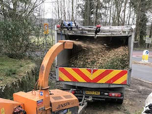 tree waste being removed